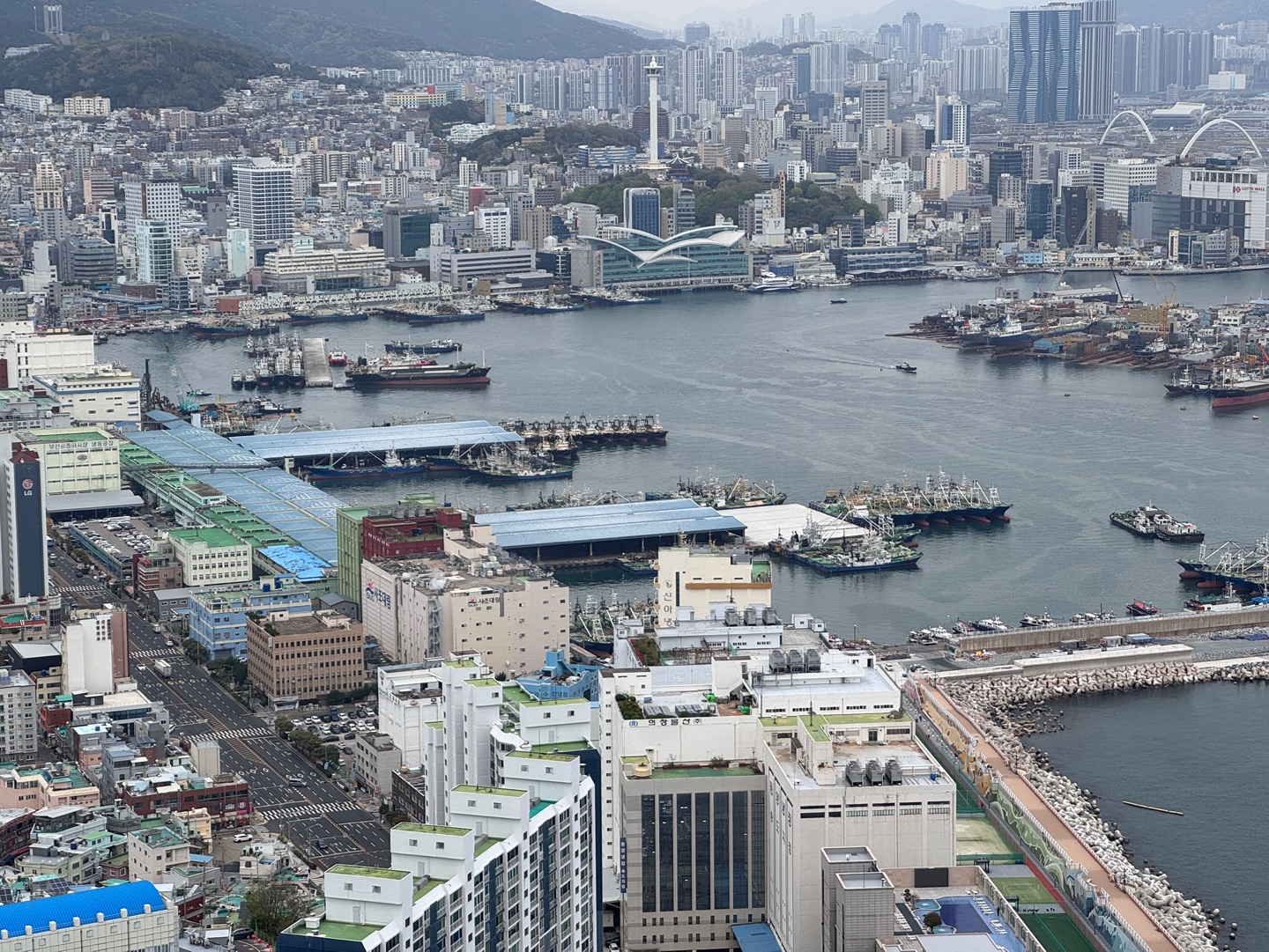 WORLD JOONGANG seafood market
